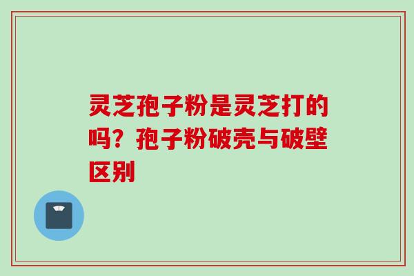 灵芝孢子粉是灵芝打的吗？孢子粉破壳与破壁区别