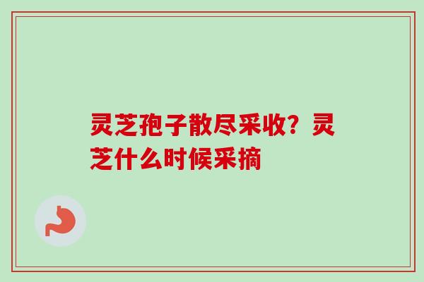灵芝孢子散尽采收？灵芝什么时候采摘