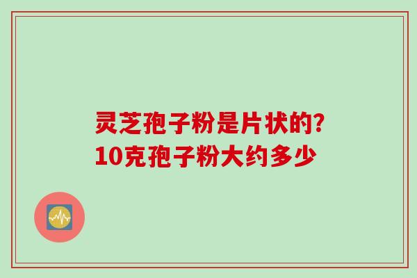 灵芝孢子粉是片状的?10克孢子粉大约多少