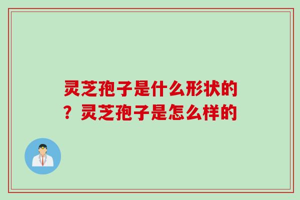 灵芝孢子是什么形状的？灵芝孢子是怎么样的