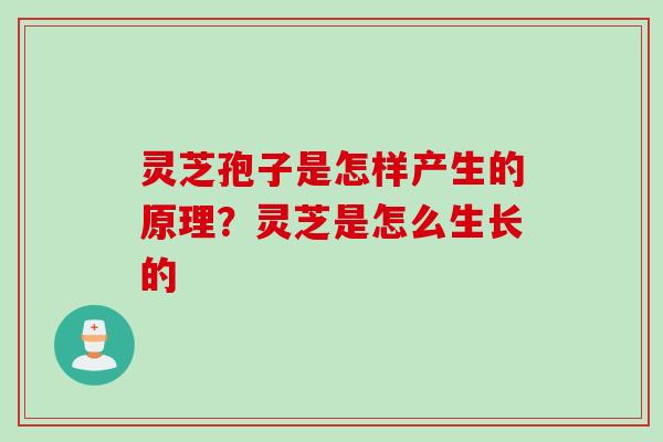 灵芝孢子是怎样产生的原理？灵芝是怎么生长的