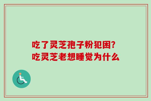 吃了灵芝孢子粉犯困？吃灵芝老想睡觉为什么