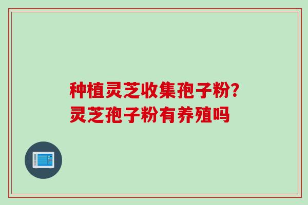 种植灵芝收集孢子粉？灵芝孢子粉有养殖吗