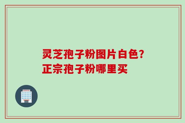 灵芝孢子粉图片白色?正宗孢子粉哪里买