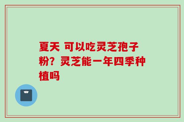 夏天 可以吃灵芝孢子粉？灵芝能一年四季种植吗