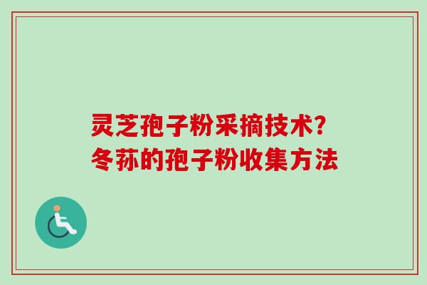 灵芝孢子粉采摘技术？冬荪的孢子粉收集方法