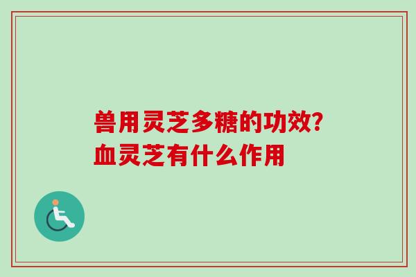 兽用灵芝多糖的功效？血灵芝有什么作用