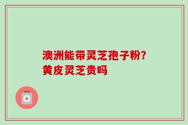 澳洲能带灵芝孢子粉？黄皮灵芝贵吗
