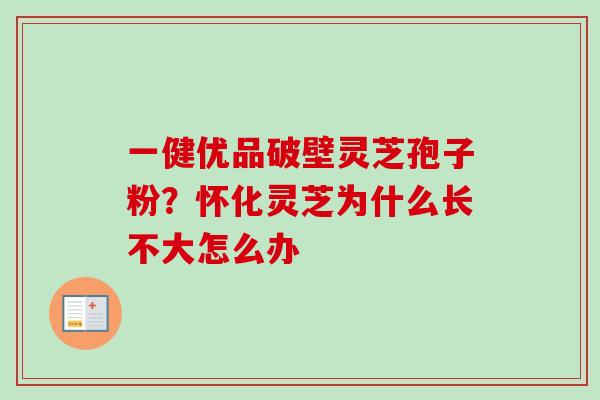 一健优品破壁灵芝孢子粉？怀化灵芝为什么长不大怎么办
