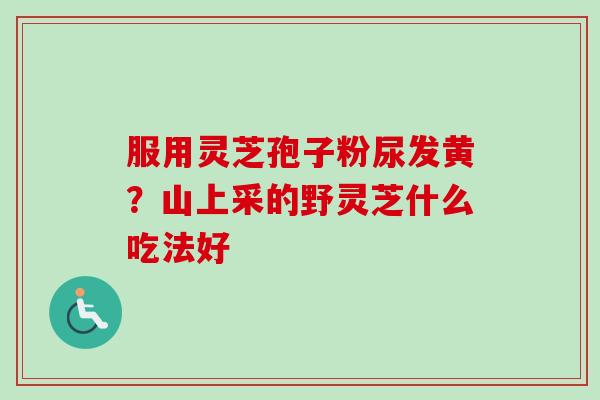 服用灵芝孢子粉尿发黄？山上采的野灵芝什么吃法好