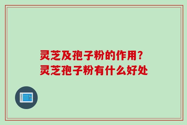 灵芝及孢子粉的作用？灵芝孢子粉有什么好处