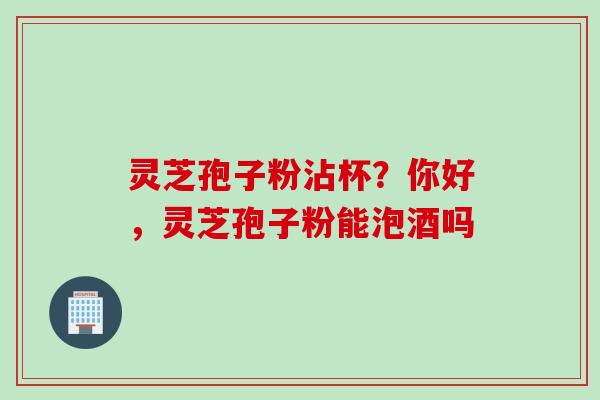 灵芝孢子粉沾杯？你好，灵芝孢子粉能泡酒吗