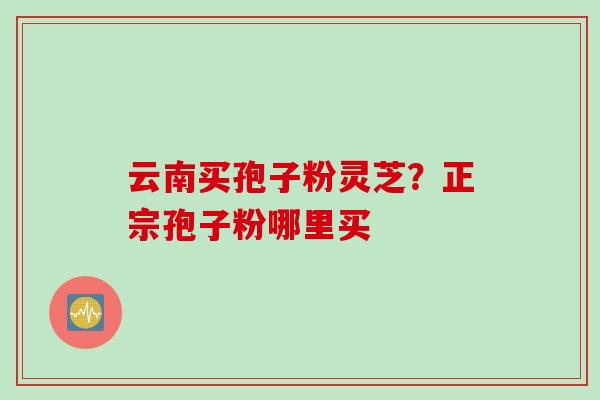 云南买孢子粉灵芝？正宗孢子粉哪里买