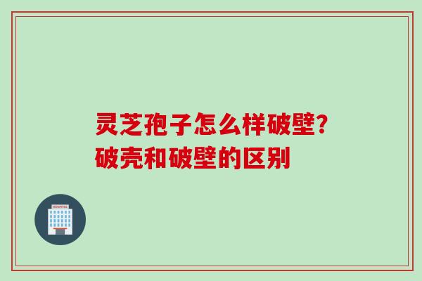 灵芝孢子怎么样破壁？破壳和破壁的区别