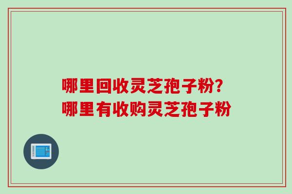 哪里回收灵芝孢子粉？哪里有收购灵芝孢子粉