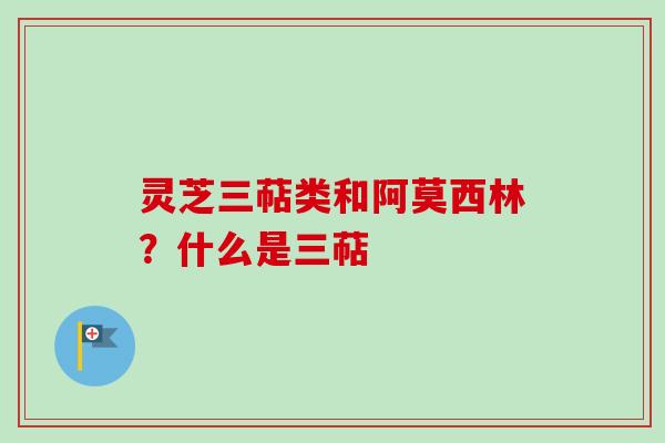 灵芝三萜类和阿莫西林？什么是三萜