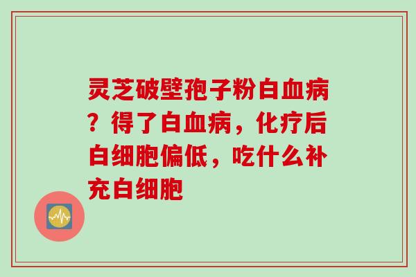 灵芝破壁孢子粉白血病？得了白血病，化疗后白细胞偏低，吃什么补充白细胞