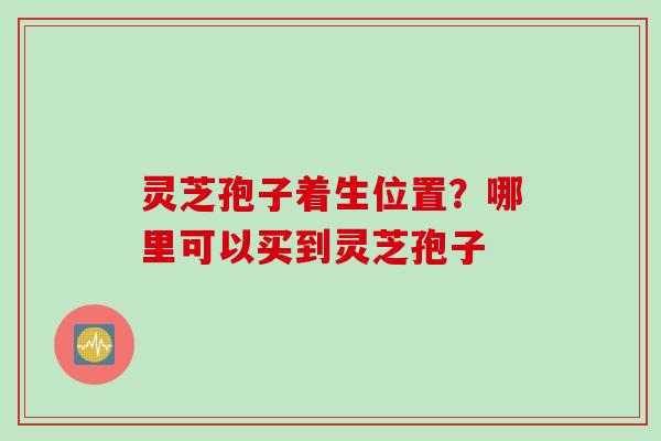 灵芝孢子着生位置？哪里可以买到灵芝孢子