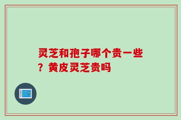 灵芝和孢子哪个贵一些？黄皮灵芝贵吗