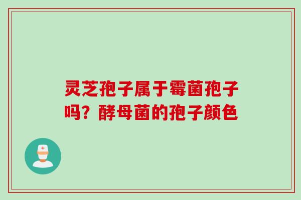 灵芝孢子属于霉菌孢子吗？酵母菌的孢子颜色