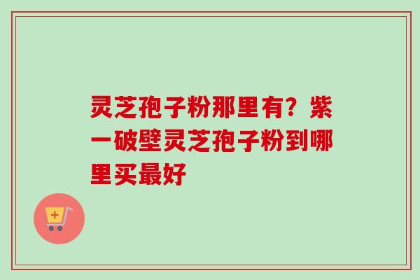 灵芝孢子粉那里有？紫一破壁灵芝孢子粉到哪里买最好