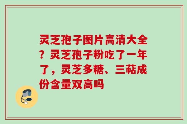 灵芝孢子图片高清大全?灵芝孢子粉吃了一年了,灵芝多糖、三萜成份含量双高吗