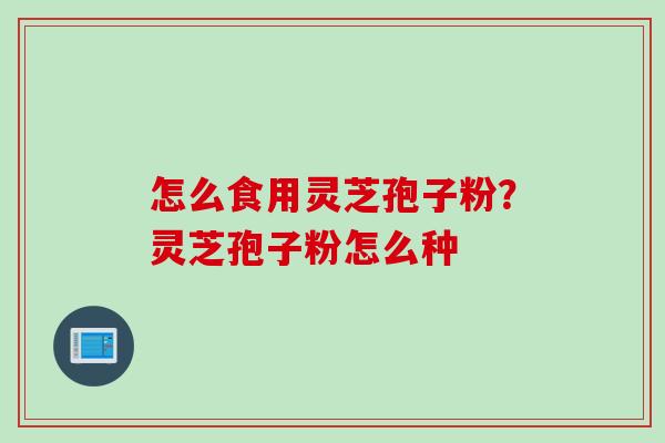 怎么食用灵芝孢子粉?灵芝孢子粉怎么种 怎么食用灵芝孢子粉?灵芝孢子粉怎么种