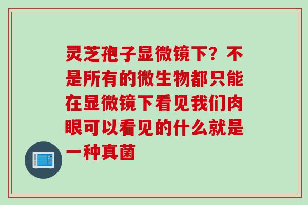 灵芝孢子显微镜下?不是所有的微生物都只能在显微镜下看见我们肉眼可以看见的什么就是一种真菌 灵芝孢子显微镜下?不是所有的微生物都只能在显微镜下看见我们肉眼可以看见的什么就是一种真菌