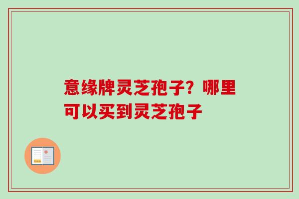 意缘牌灵芝孢子？哪里可以买到灵芝孢子