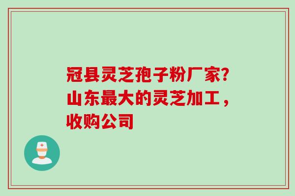 冠县灵芝孢子粉厂家？山东最大的灵芝加工，收购公司