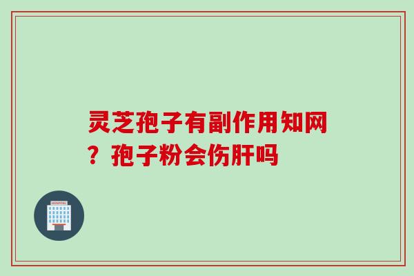 灵芝孢子有副作用知网？孢子粉会伤肝吗
