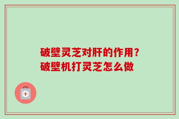 破壁灵芝对肝的作用？破壁机打灵芝怎么做