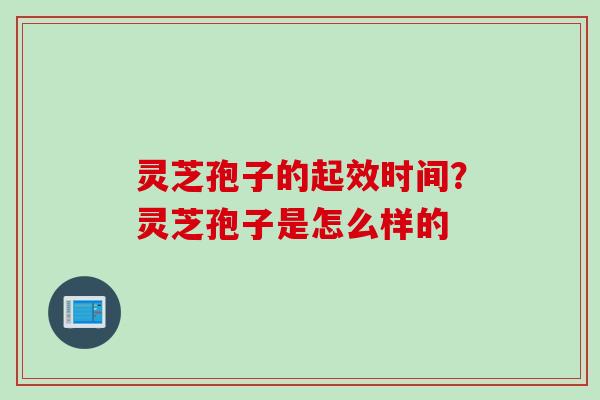 灵芝孢子的起效时间？灵芝孢子是怎么样的