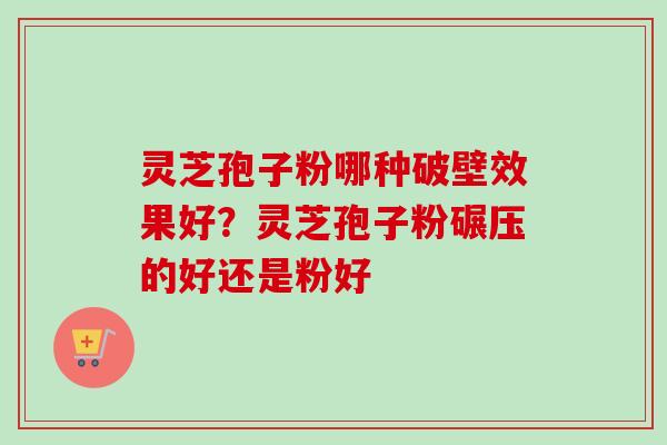灵芝孢子粉哪种破壁效果好？灵芝孢子粉碾压的好还是粉好