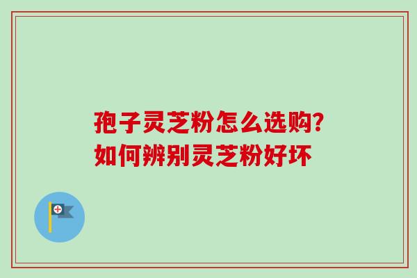 孢子灵芝粉怎么选购？如何辨别灵芝粉好坏