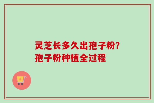 灵芝长多久出孢子粉?孢子粉种植全过程 灵芝长多久出孢子粉?孢子粉种植全过程