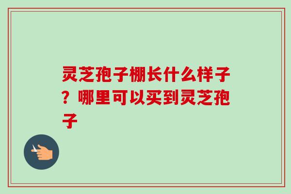 灵芝孢子棚长什么样子？哪里可以买到灵芝孢子