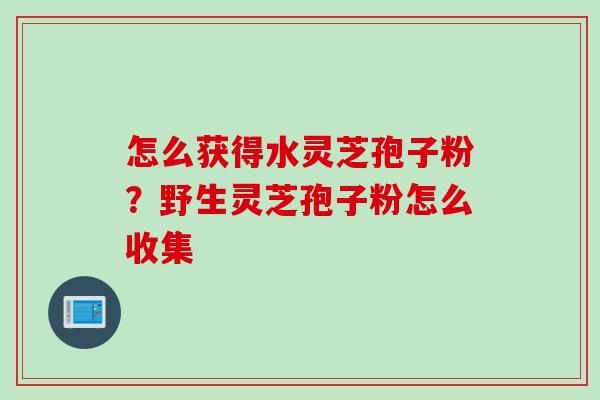 怎么获得水灵芝孢子粉？野生灵芝孢子粉怎么收集