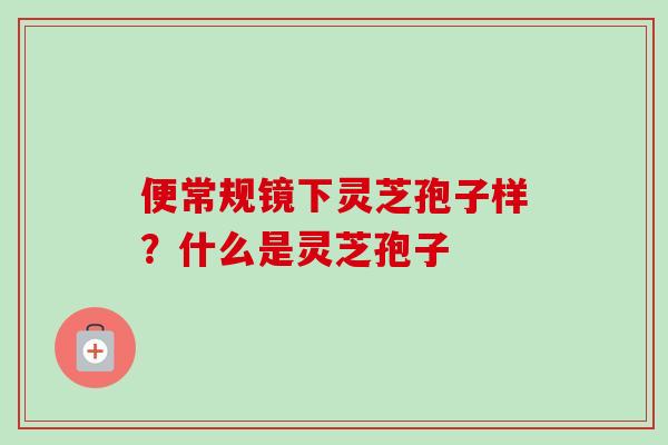 便常规镜下灵芝孢子样？什么是灵芝孢子