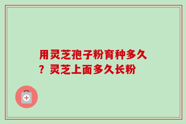 用灵芝孢子粉育种多久？灵芝上面多久长粉