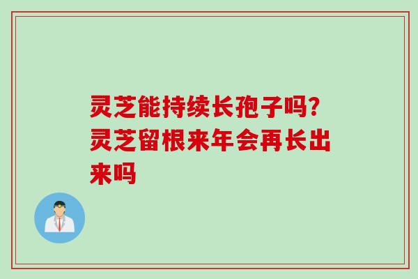 灵芝能持续长孢子吗？灵芝留根来年会再长出来吗