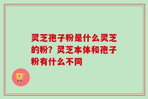 灵芝孢子粉是什么灵芝的粉？灵芝本体和孢子粉有什么不同