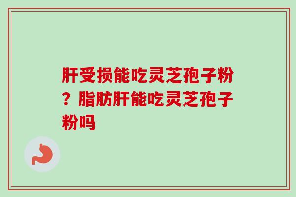 肝受损能吃灵芝孢子粉？脂肪肝能吃灵芝孢子粉吗