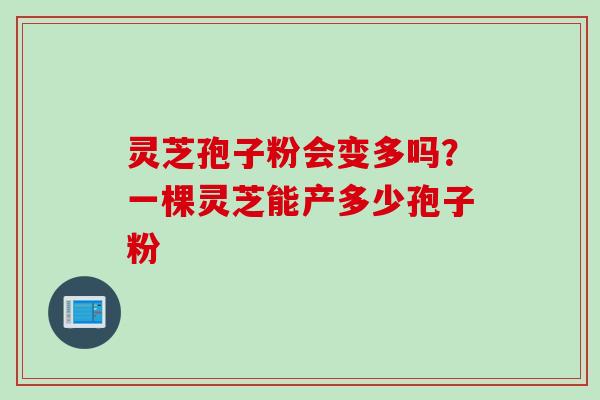 灵芝孢子粉会变多吗？一棵灵芝能产多少孢子粉