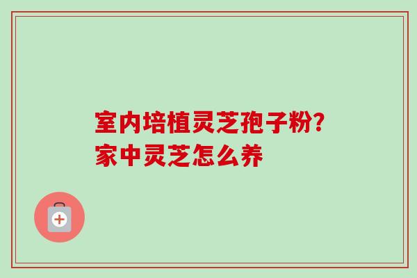 室内培植灵芝孢子粉？家中灵芝怎么养