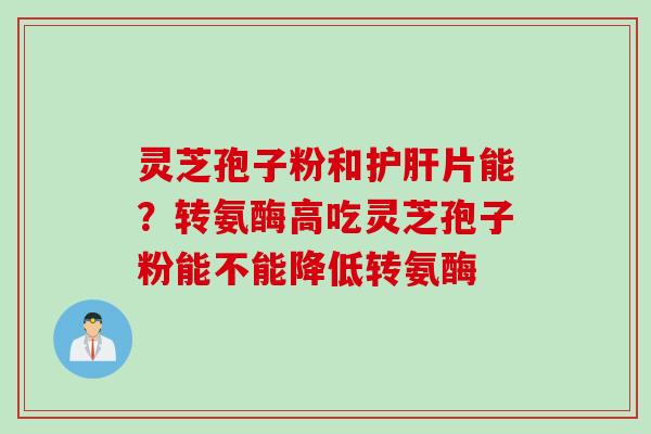 灵芝孢子粉和护肝片能？转氨酶高吃灵芝孢子粉能不能降低转氨酶
