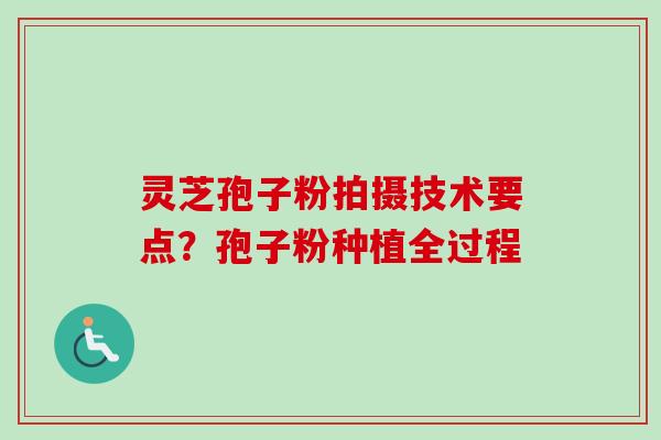 灵芝孢子粉拍摄技术要点？孢子粉种植全过程