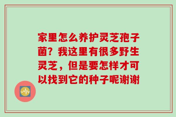 家里怎么养护灵芝孢子菌？我这里有很多野生灵芝，但是要怎样才可以找到它的种子呢谢谢