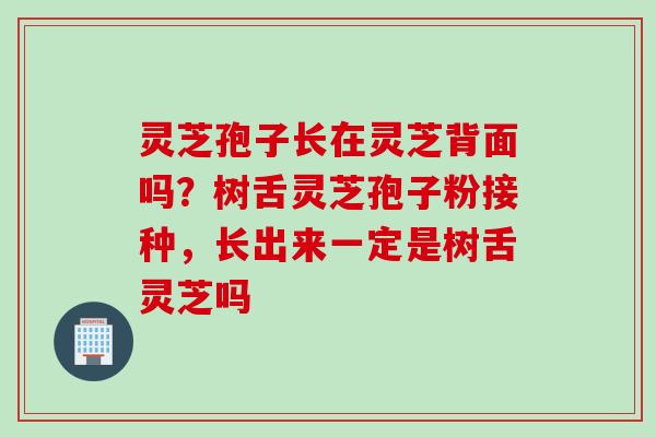 灵芝孢子长在灵芝背面吗？树舌灵芝孢子粉接种，长出来一定是树舌灵芝吗