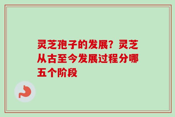 灵芝孢子的发展？灵芝从古至今发展过程分哪五个阶段